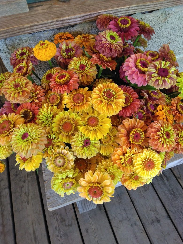 営業時間変更のお知らせ